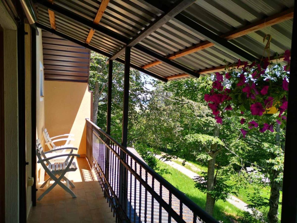 Gorska Vila Apartments Žabljak Kültér fotó
