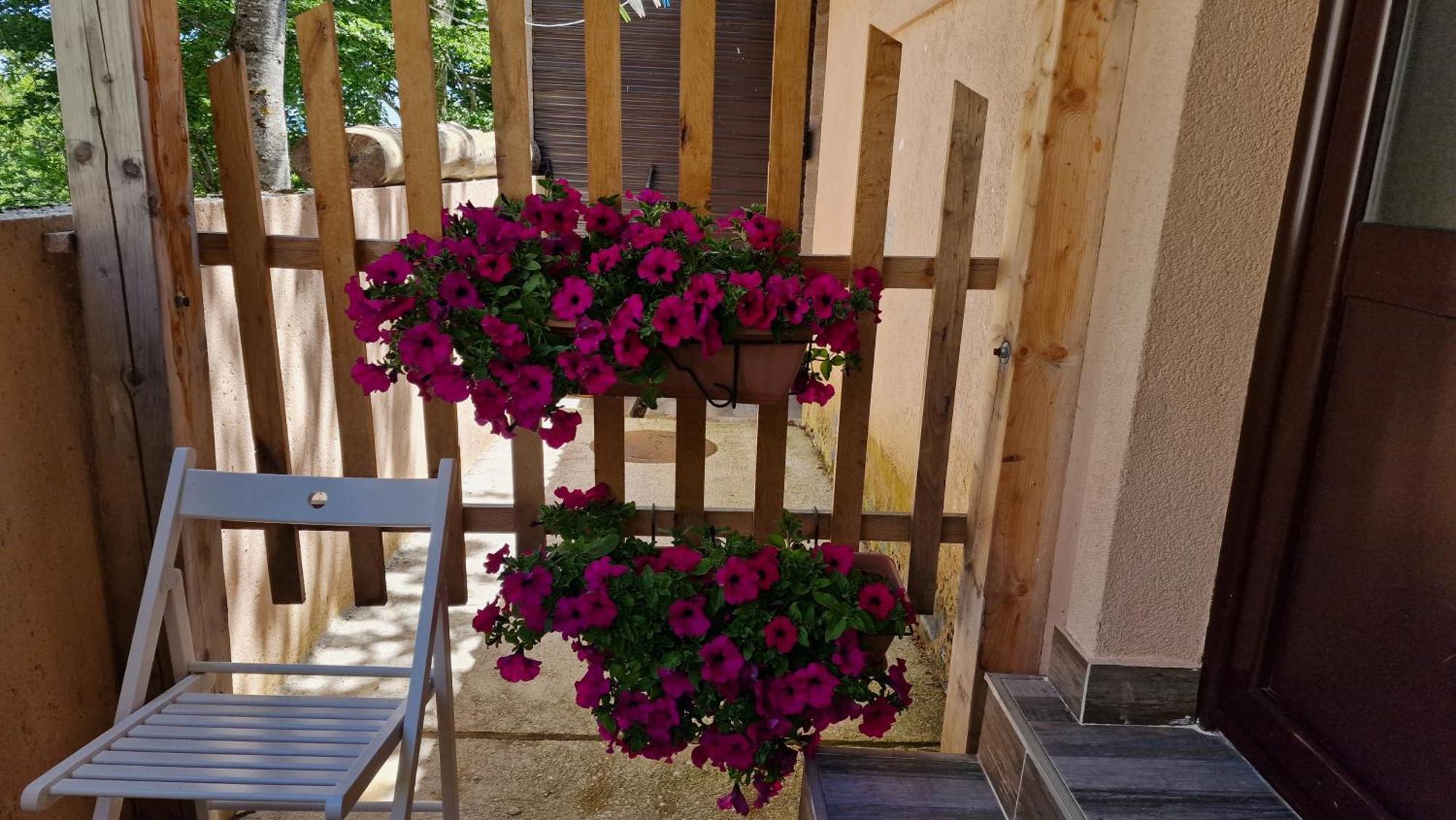 Gorska Vila Apartments Žabljak Szoba fotó
