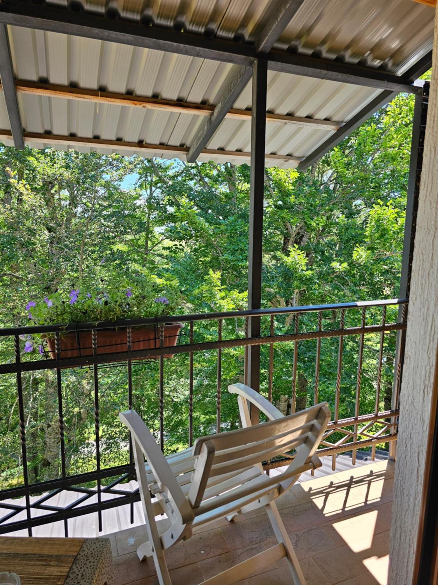 Gorska Vila Apartments Žabljak Kültér fotó
